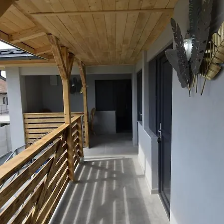 Apartment Vila 10 Steaguri *